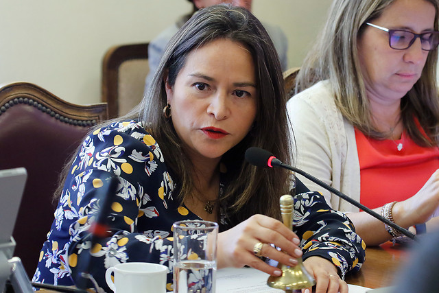 Diputada Joanna Pérez pidió al Gobierno que “recapacite y no obstaculice aprobación del voto obligatorio”