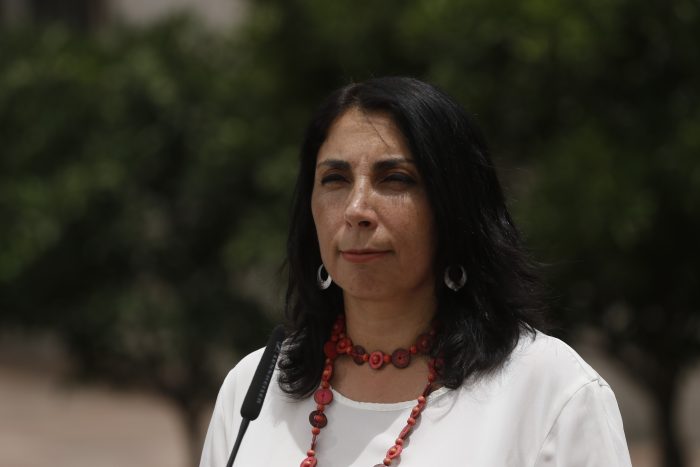 La Moneda dijo no tener información respecto a «intervención extranjera» denunciada por Guarequena Gutiérrez