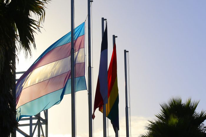 Colectivos LGBTI de América Latina debatieron en un foro online sobre la agenda legislativa y democracia