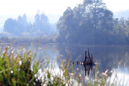 La conservación no es “un lujo verde”