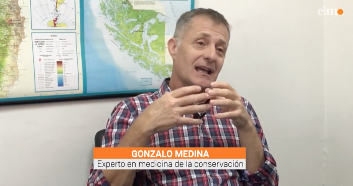 Homo Science: Gonzalo Medina-Vogel, médico de la conservación, y la gran pérdida de biodiversidad de la Patagonia