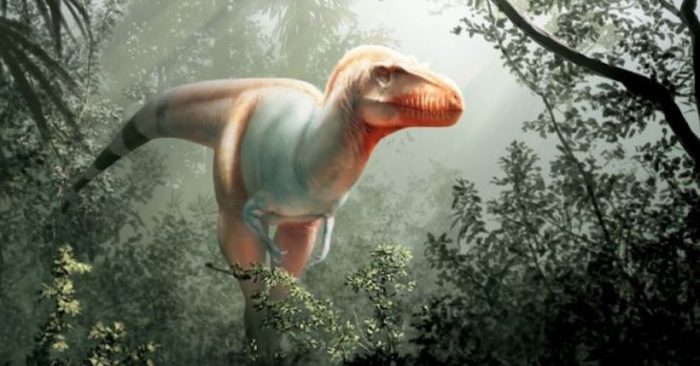 Cómo era el «Segador de la muerte», una nueva especie de dinosaurio que vivió antes que el ‘Tyrannosaurus rex’