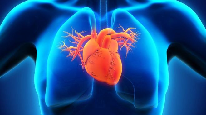 La investigación de la BBC que reveló que médicos ocultaron información sobre los riesgos del uso de stents para el corazón