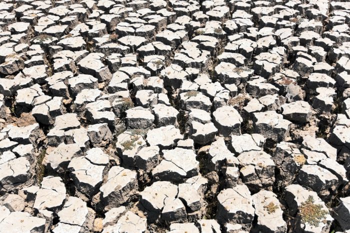 Desertificación y sequía ¿Cómo podemos ayudar?