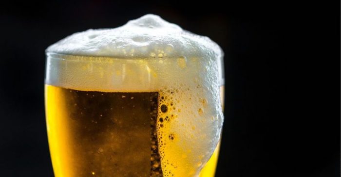 En Los Ríos se lanza torneo que impulsa el primer ecosistema cervecero de Chile
