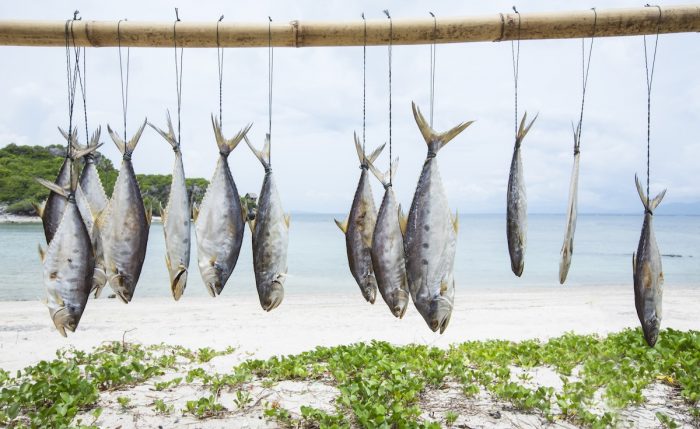 ¿Deberíamos dejar de comer pescado?