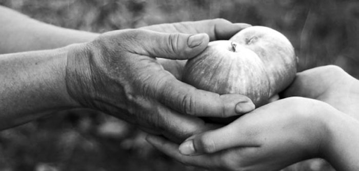 Estudio publicado en revista Nature Neuroscience indaga en las raíces biológicas de la generosidad