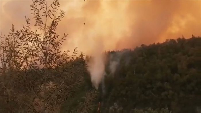 Alcaldesa de Molina culpa a las forestales por incendio cercano al Parque Nacional Radal Siete Tazas