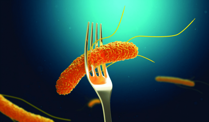 Salmonella y listeria: cómo podemos evitar brotes de bacterias transmitidas por alimentos