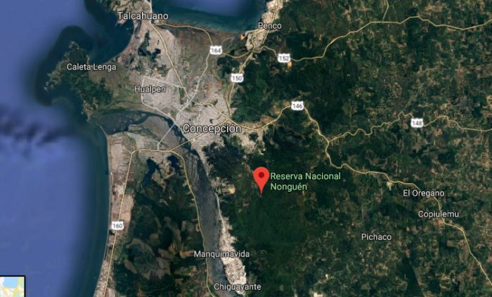 Reserva Nacional Nonguén: una infraestructura crítica bajo constante amenaza