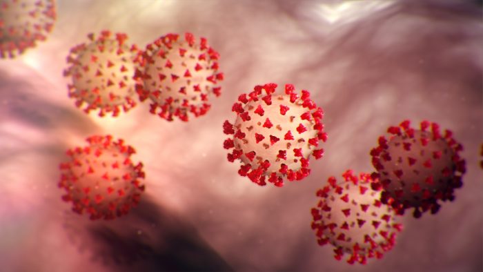 Coronavirus en pacientes de España e Italia presenta mutaciones respecto al virus de Wuhan: no varían en virulencia o letalidad