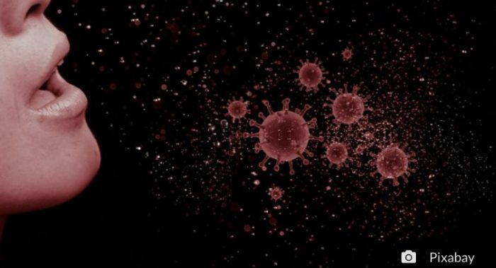 Otra lección del nuevo coronavirus: investigación de excelencia en todas las áreas del conocimiento