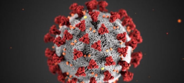 Coronavirus o la inmanejable naturaleza de los virus
