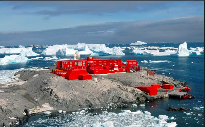 Antártica, un continente hasta ahora libre de virus pero vulnerable