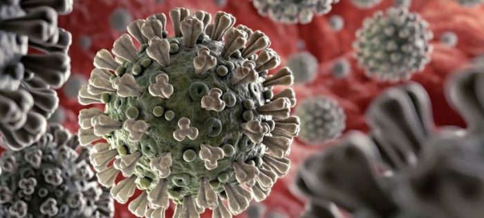 Científicos buscan identificar variantes del coronavirus a lo largo de Chile