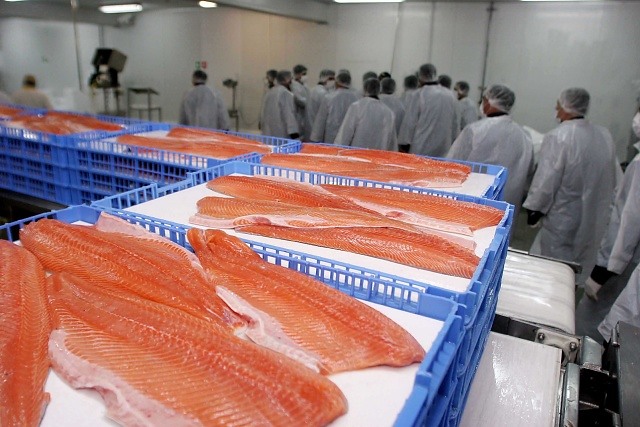 Presentación de informe de industria del salmón de INDH
