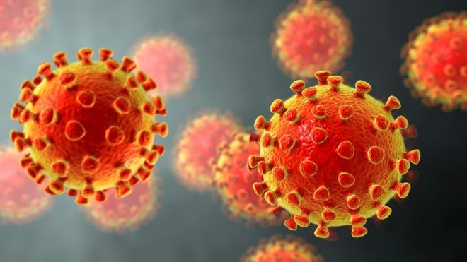 Coronavirus: qué se sabe de las mutaciones del virus del covid-19 (y cómo los científicos las están siguiendo en tiempo real)