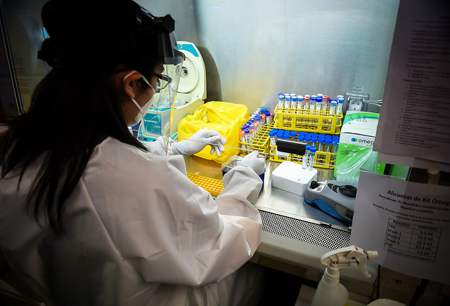Falta de reactivos: subsecretario Zúñiga suspende autorización para nuevos laboratorios universitarios que procesan test PCR