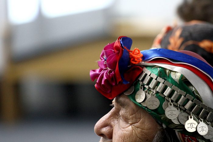 Nuevo libro de divulgación da cuenta de la cosmovisión del pueblo mapuche