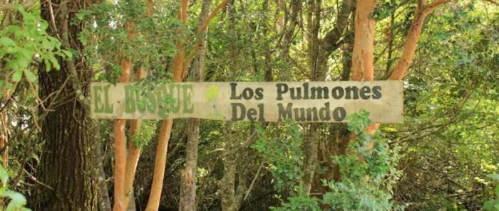 La importancia de incluir otros saberes indígenas y rurales en el manejo de ecosistemas chilenos 