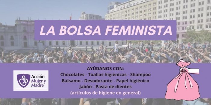 “Bolsa Feminista”: ONG Acción Mujer y Madre reúne artículos de higiene íntima, aseo personal y preservativos para entregar a mujeres más vulnerables