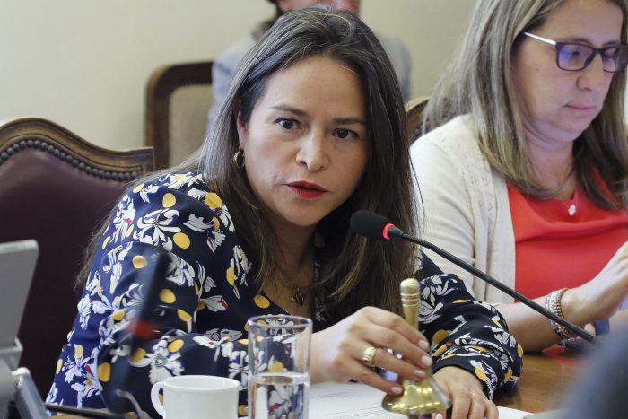 Diputada DC Joanna Pérez espera que la próxima semana se apruebe ley que prohibirá el corte de servicios básicos