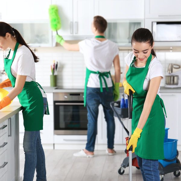Empleo doméstico: igualdad y formación profesional