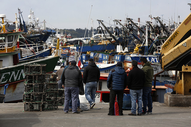 “Solo favorece a los grandes industriales”: diputadas PS rechazan que Subsecretaría de Pesca dependa del Ministerio de Agricultura