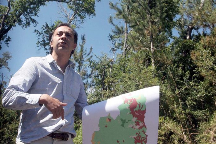 Estudio revela impactos negativos para el ambiente de subsidio a la forestación en Chile