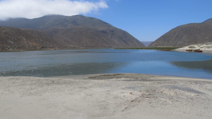 Dos nuevos humedales chilenos son declarados de importancia internacional