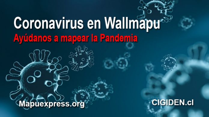 Plataforma digital permitirá informar sobre los efectos de la pandemia en el territorio mapuche