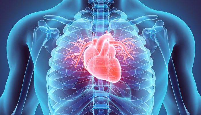 Cardiólogo: “El Covid-19 daña al corazón independiente de lo grave que sea la infección”