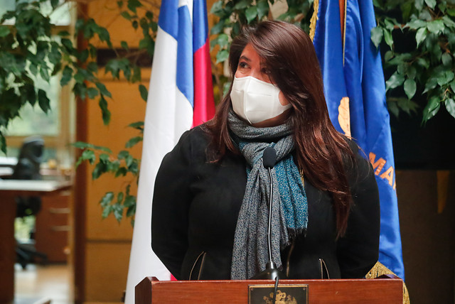Diputada Mix: «Emplazamos al gobierno a que deje de criminalizar al pueblo mapuche y acoja sus demandas»