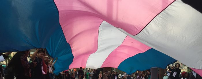 Comenzó encuesta que busca conocer las experiencias de personas trans en el sistema de salud chileno