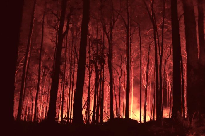 Advierten que incendios forestales de 2020 podrían ser peores que en 2019 en Sudamérica y el mundo