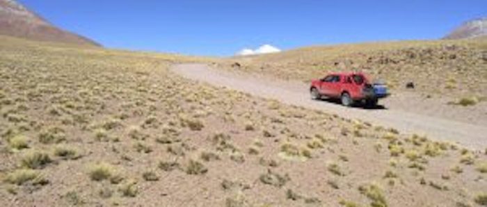 Importantes hallazgos sobre las comunidades de bacterias de plantas nativas de los altiplanos andinos chilenos