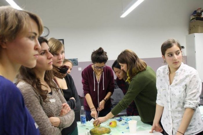 Los riesgos de que cada vez menos doctores sepan practicar un aborto en Alemania (y la ingeniosa solución de unos estudiantes de Medicina)