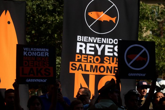 Organizaciones medioambientales en picada por falta de fiscalización a salmoneras: “En Chile quien provoque un mar muerto con su actividad goza de impunidad”