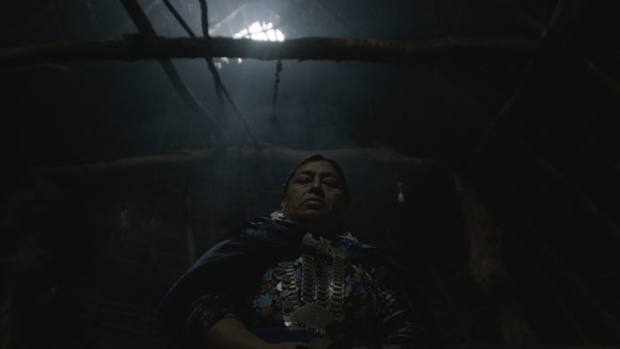 «Dominio vigente»: la película chilena destacada en Alemania que narra la disputa por la tierra en La Araucanía