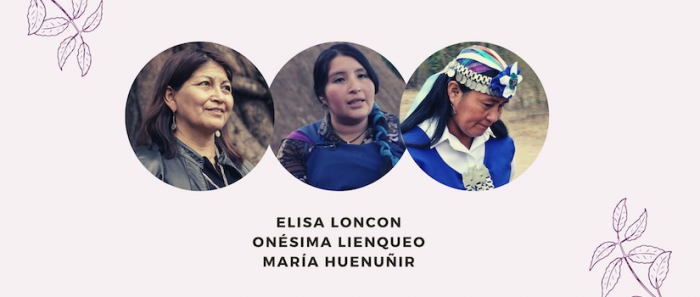 Ciclo de entrevistas «Pioneros del cambio» revisa la sabiduría de las mujeres mapuches