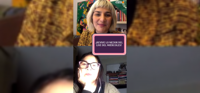Conversatorio Red de Periodistas Feministas y medios no sexistas con Fabiola Gutiérrez