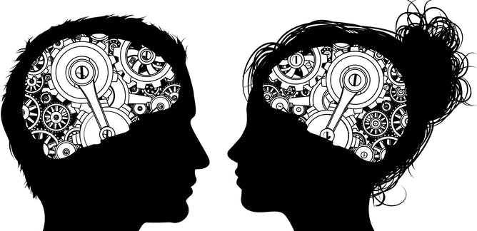 Los algoritmos dicen que hay cerebros masculinos y femeninos, pero quizá confundan el sexo con el tamaño