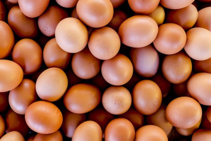 Pandemia provoca alza histórica en producción de huevos en Chile