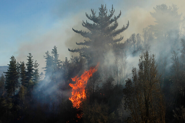 Gobierno declara estado preventivo de emergencia en regiones afectadas por incendios forestales hasta mayo 2021