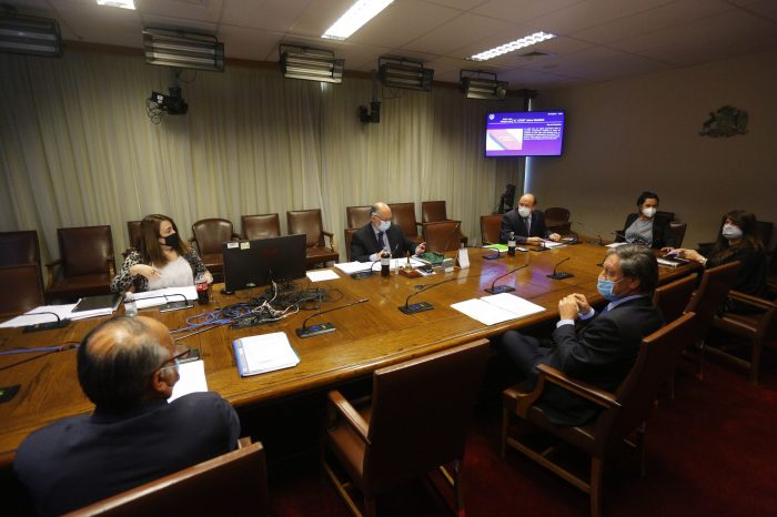 Con abstención de Pablo Lorenzini, comisión revisora recomendó rechazar acusación contra Mañalich