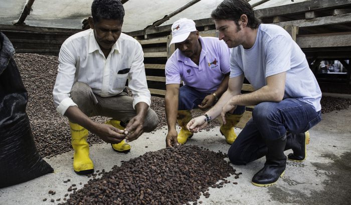 Tour virtual permite conocer sobre la historia del cacao y la fabricación del chocolate