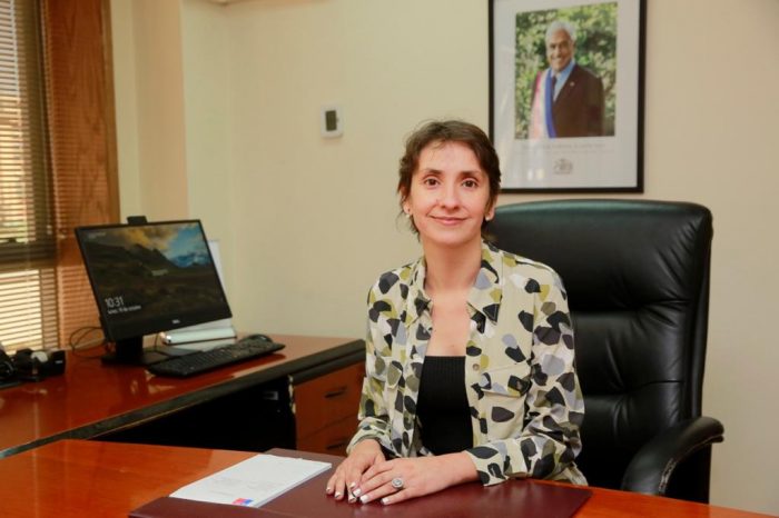 Rosario Martínez es designada por el Gobierno como la nueva directora del Sename