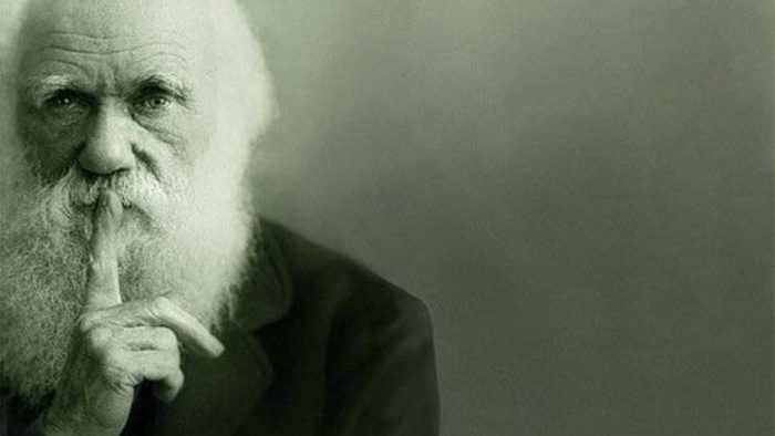 “Darwin en el país desconocido” de Ignacio Concha: una novela de posibilidades infinitas