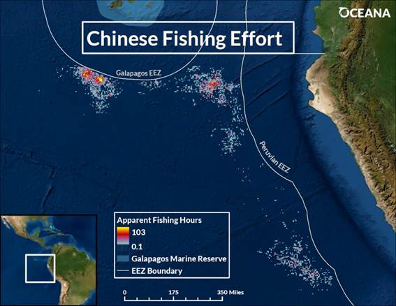 Oceana analiza la ruta de flota pesquera china que depredó Galápagos y advierte que se dirige a Chile