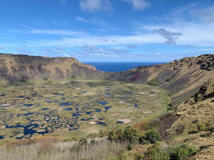 Plantan por primera vez cepas ancestrales y del continente para producción de vinos en Isla de Pascua